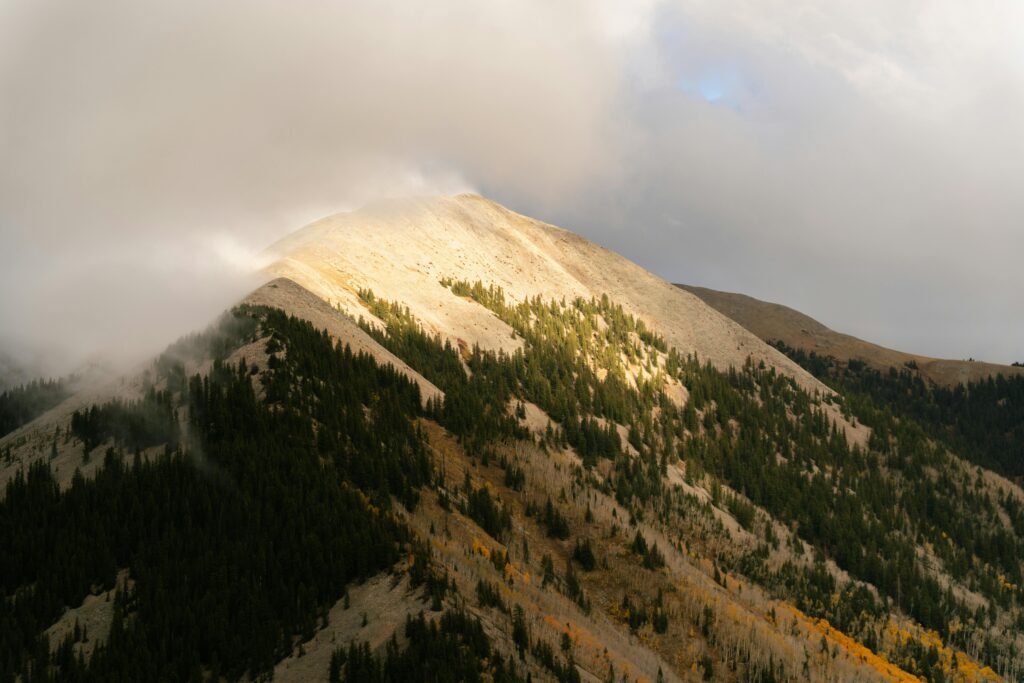 Kostenloses Stock Foto zu abenteuer, alpine wildnis, bäume